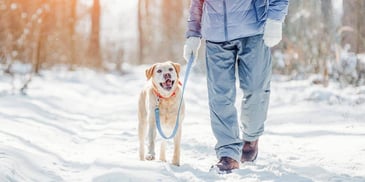 person and dog walking in snowy woods