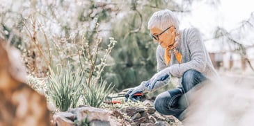 woman tends to plants in garden