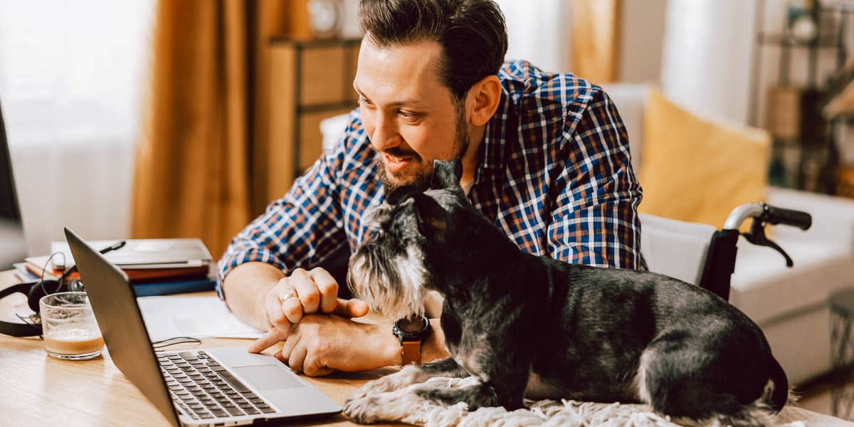 What is a Pawrenting Agreement for Divorced Pet Owners?