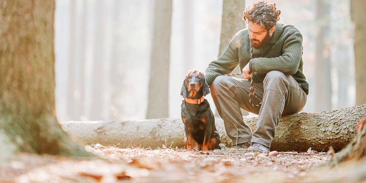 Dog Parent? The Benefits of Pet Insurance in Divorce