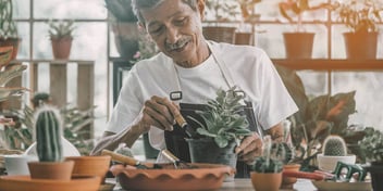 Man perfects his succulent garden