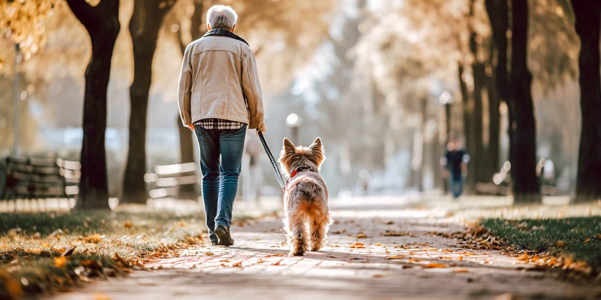 How to Deal with Pet Custody Loss