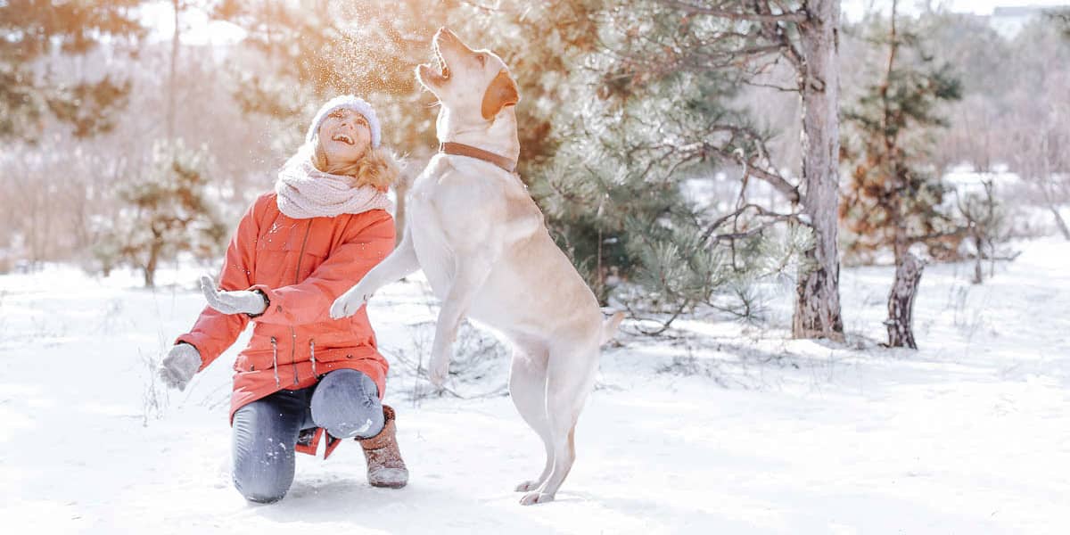 Top Resources for Divorce in Colorado